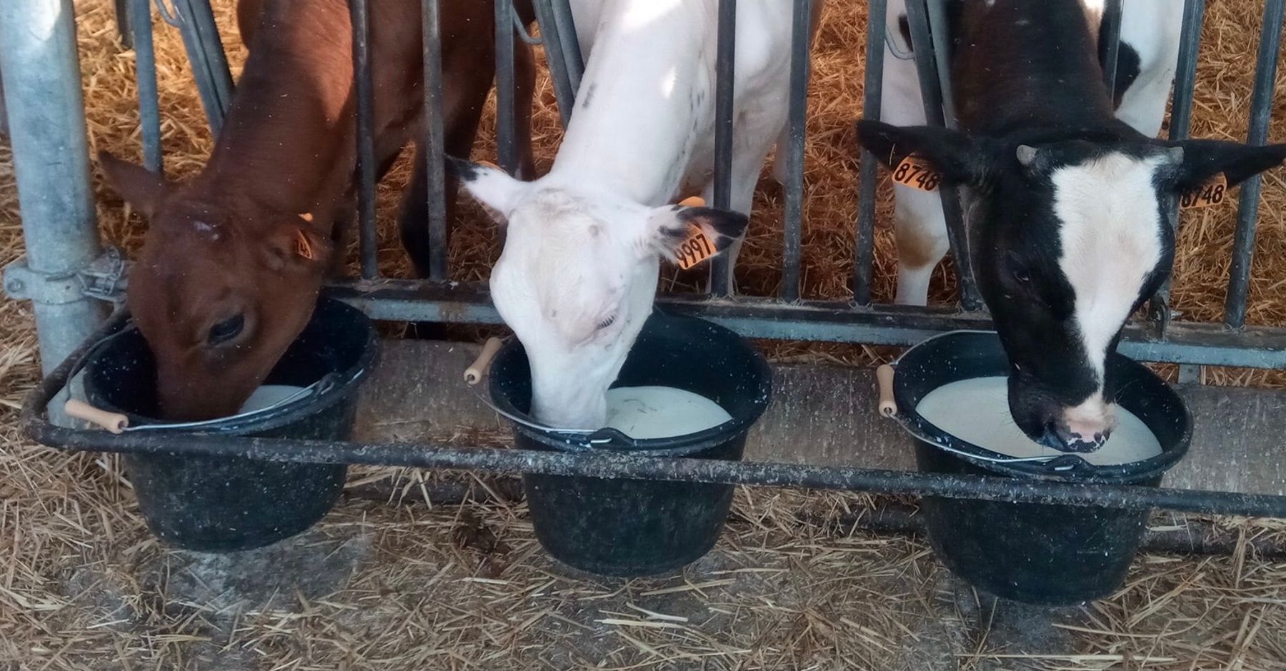 Pisciculture de la Ferme de scay